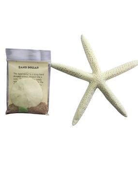Natural White Starfish & Sand Dollar Décor Set